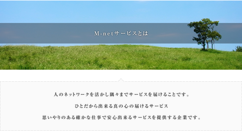 M-netサービスとは